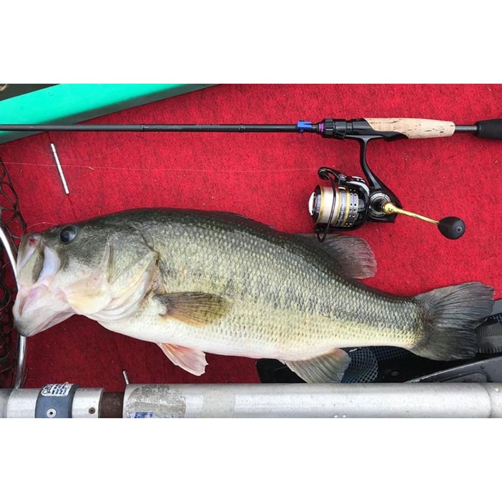 tw-11134207-7r98s-lvyzic7dcs9ya7