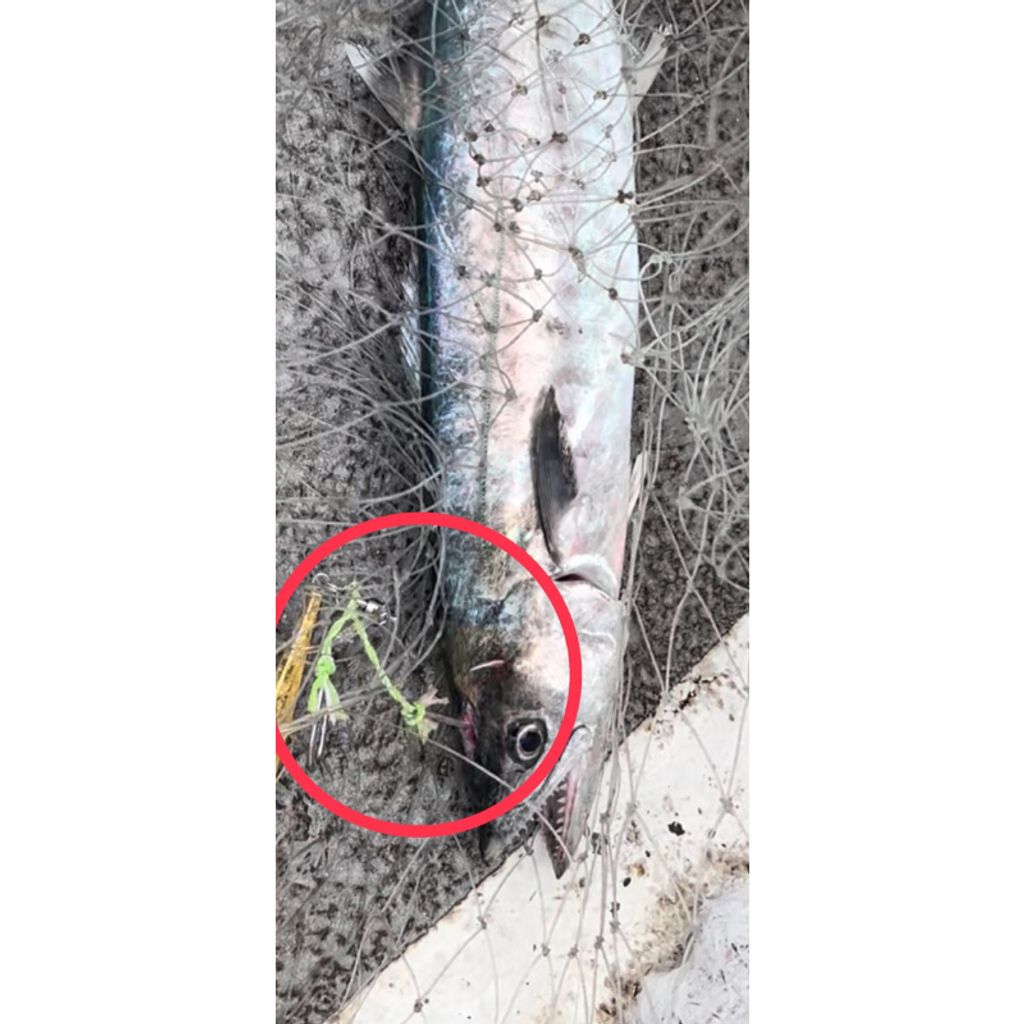 tw-11134207-7r98q-lt0jg69n1z4869