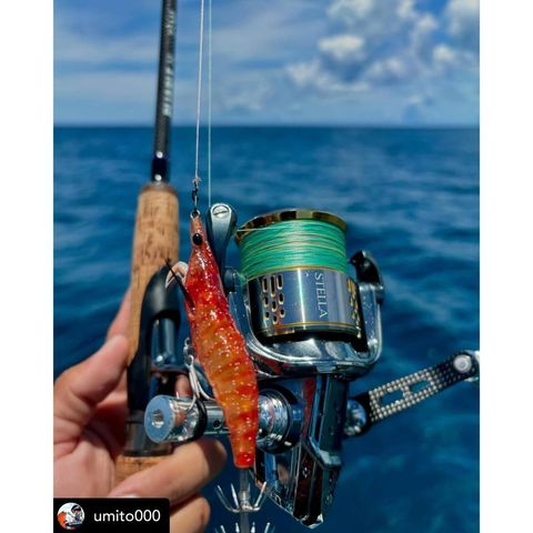 tw-11134207-7ras9-m2ause69or2y70