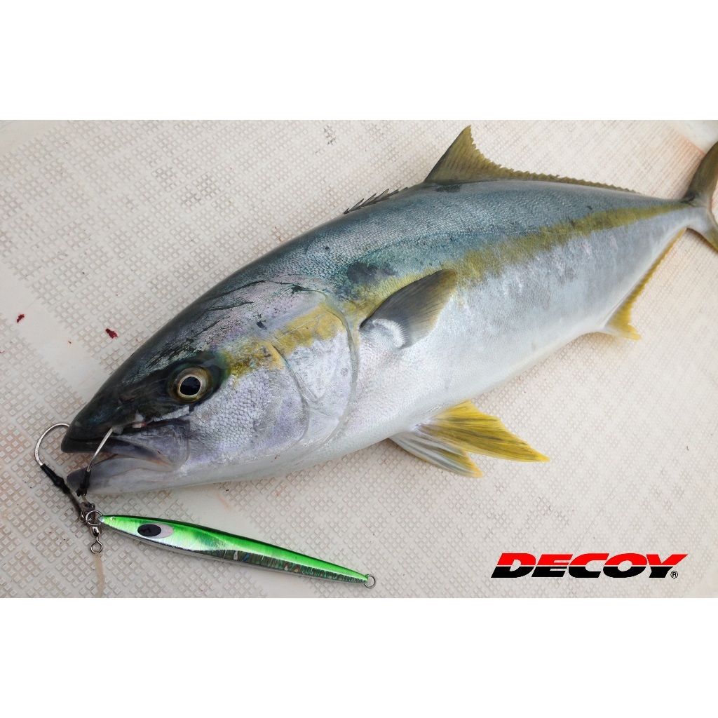 tw-11134207-7rase-m2w5ai90j4i3b2