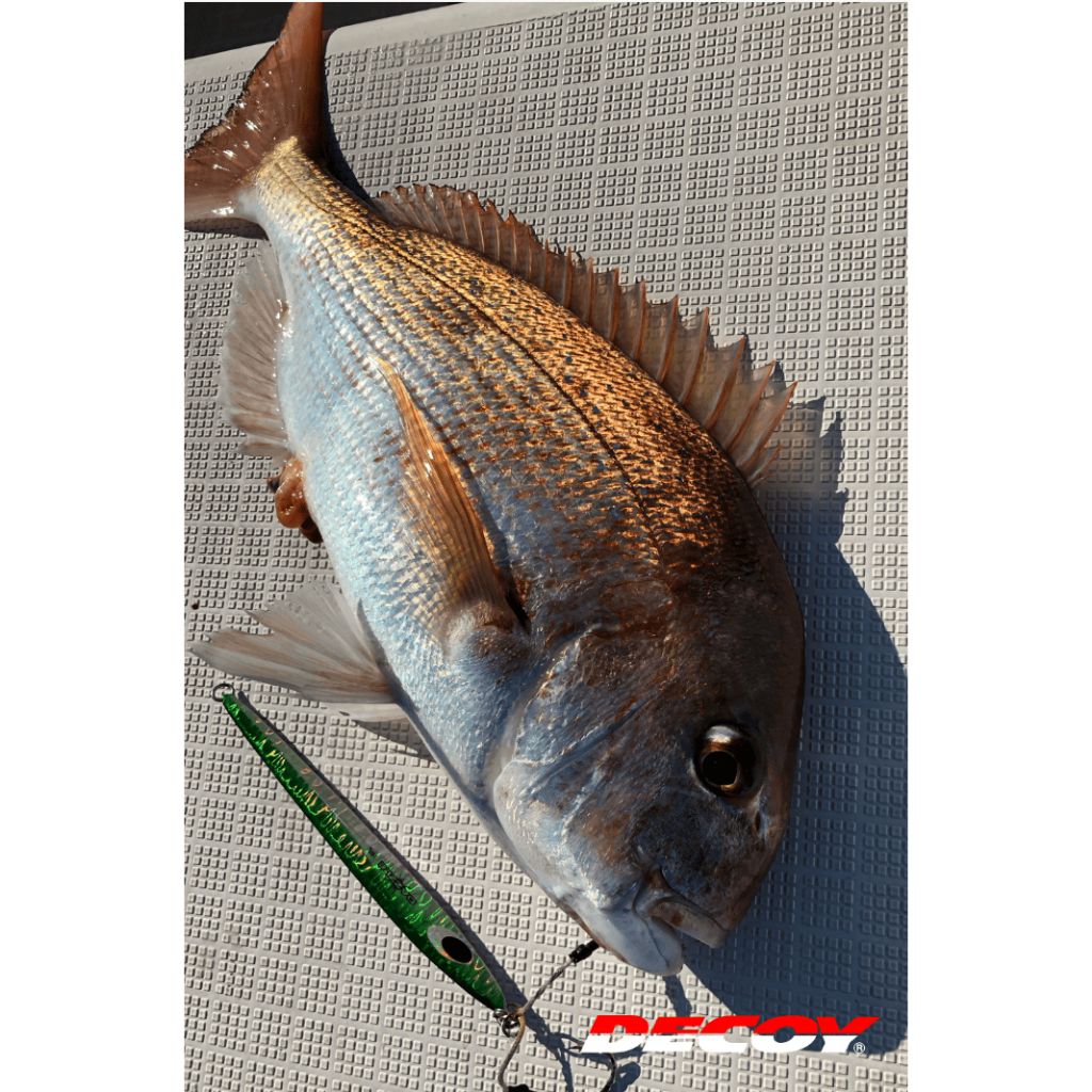 tw-11134207-7rasg-m2w5dvw8invv8d