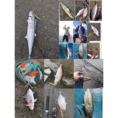 c9d8bac49940f2da30a2b1d0762c823b