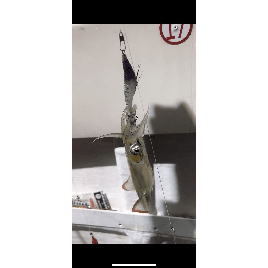 tw-11134207-7qul6-li1v5fkk20ge02