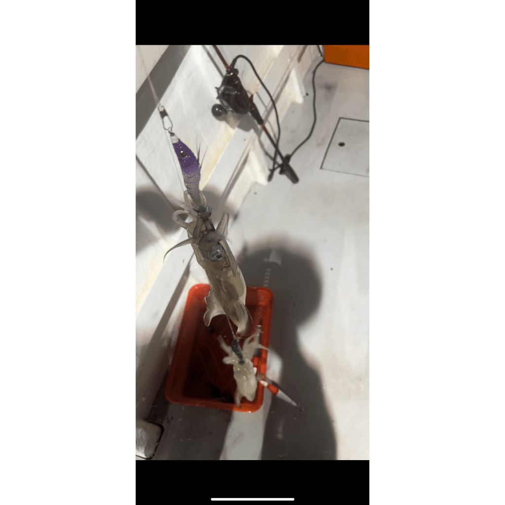 tw-11134207-7qukz-li1v5fkk3f0u80