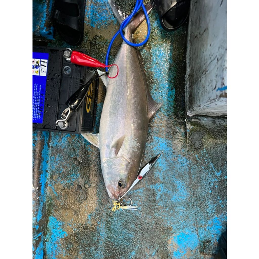 tw-11134207-23020-sgn3svb39mnv68