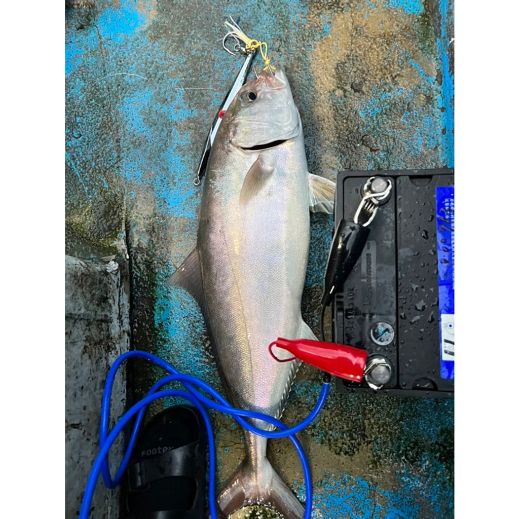 tw-11134207-23020-yv91svb39mnv2e