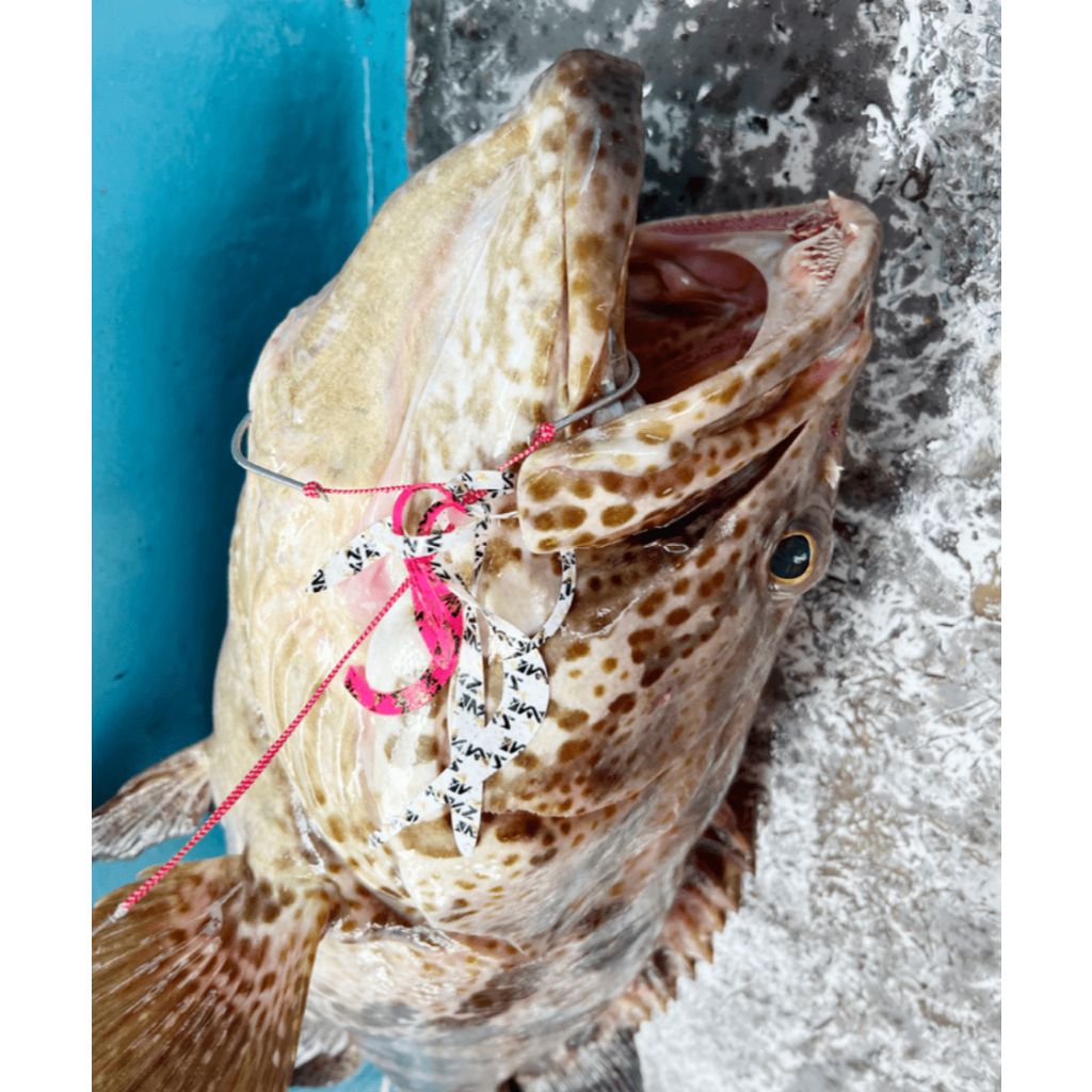 tw-11134207-7r98z-lua2jjyhlwlpfe