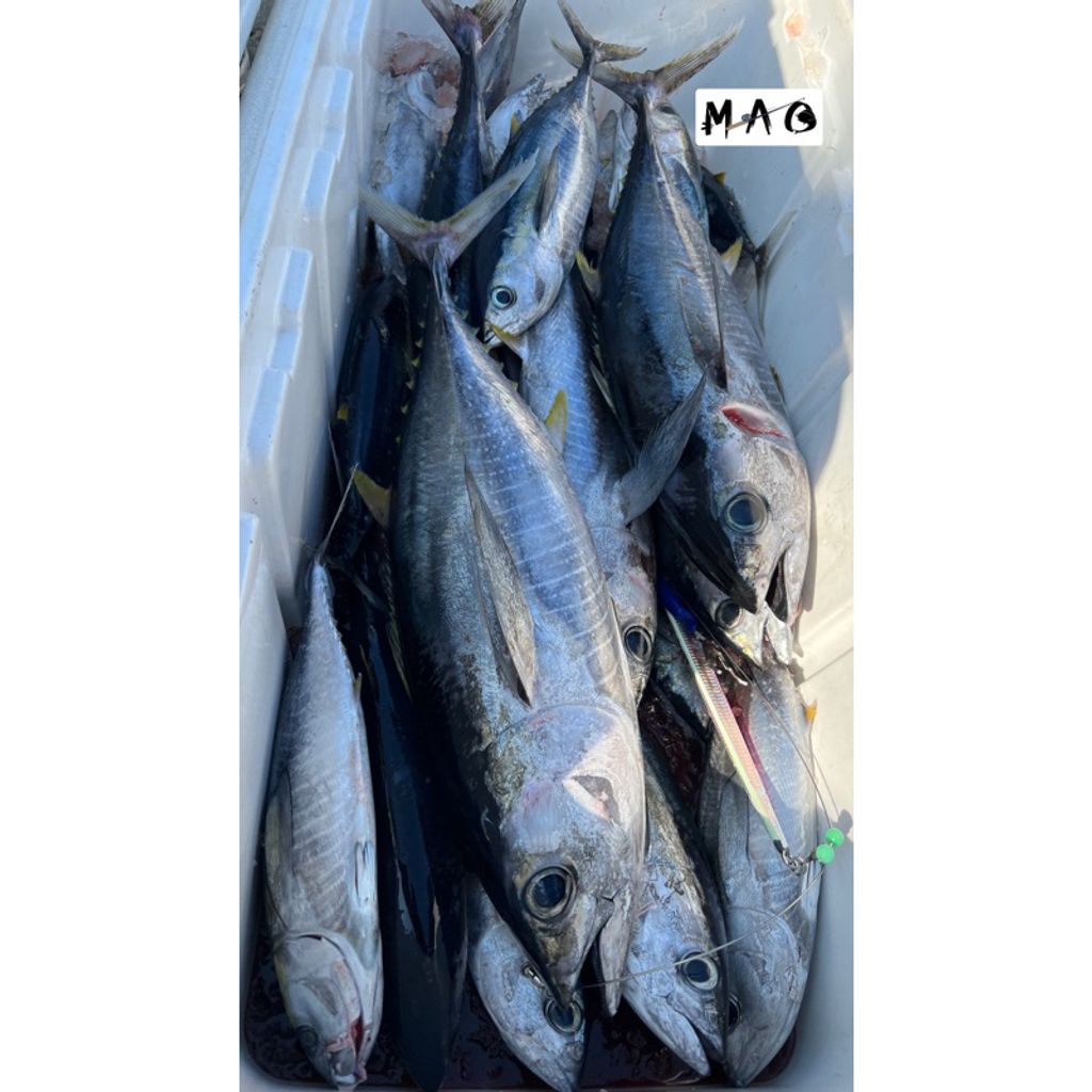 tw-11134207-7r98u-lthw4j25lmr37d