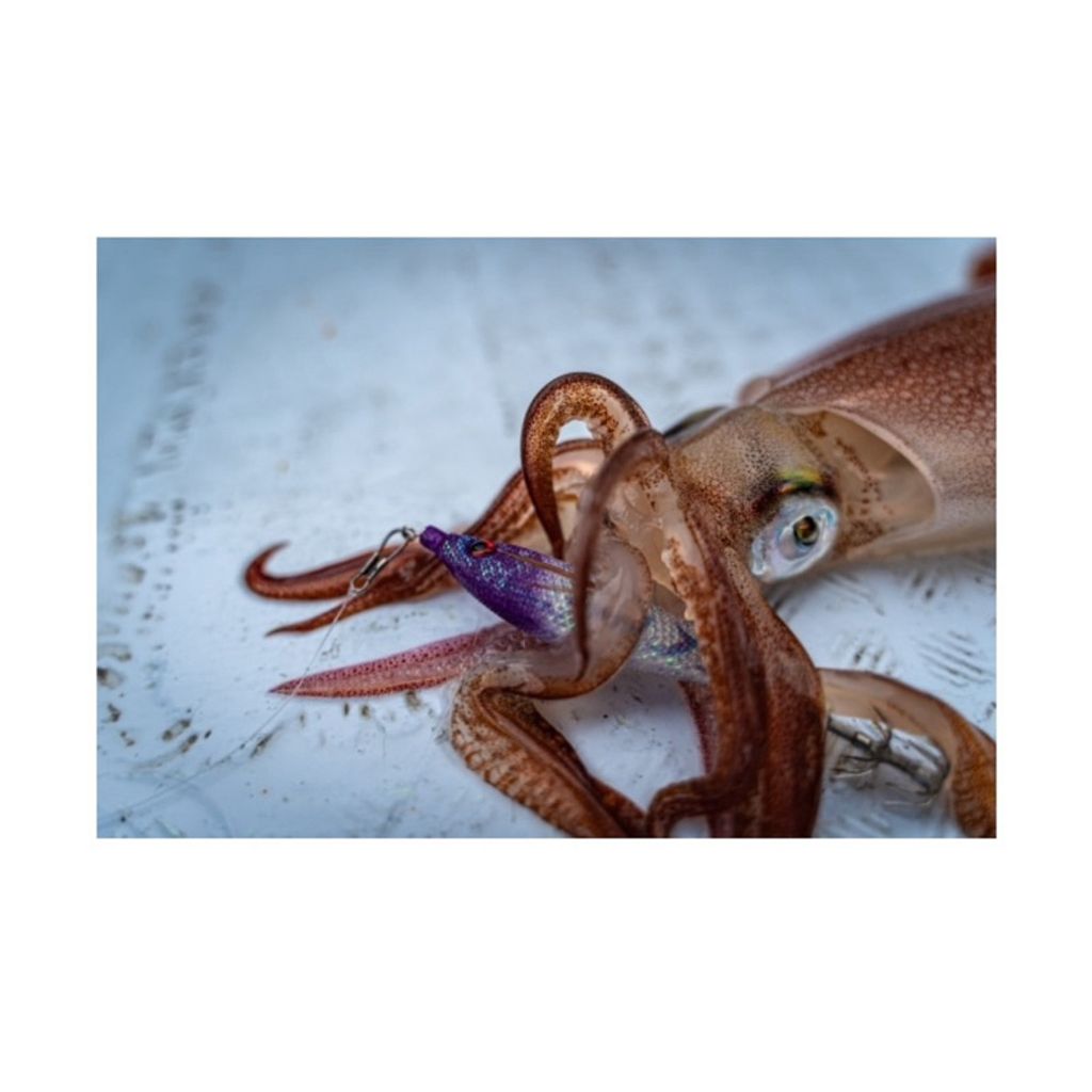 tw-11134207-7r98q-lvdh491ird15f9