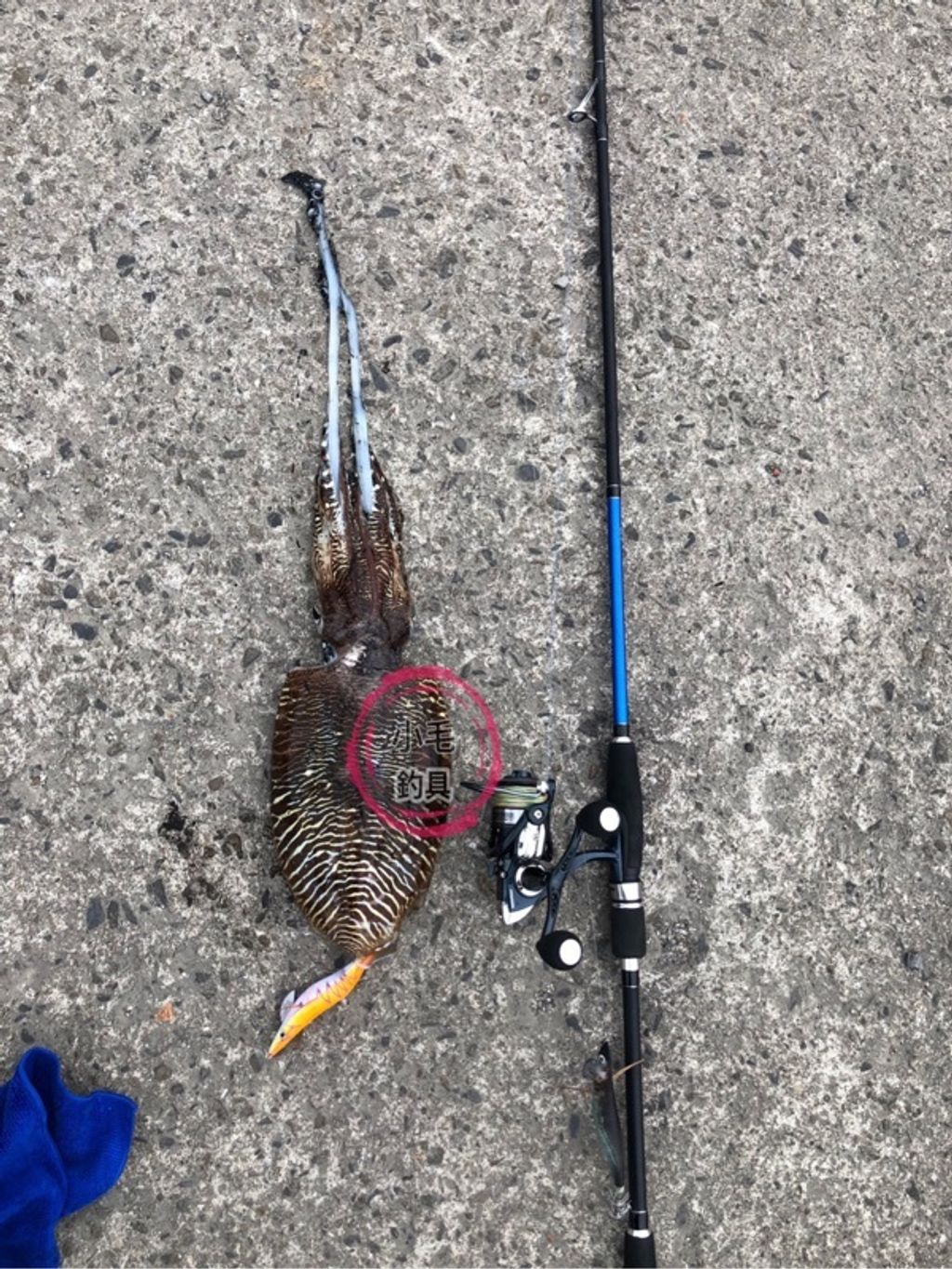 57e147a3fdc503c86231b3c6fbc7b8d4