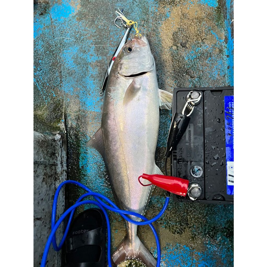 tw-11134207-23010-jouyotffxbmv82