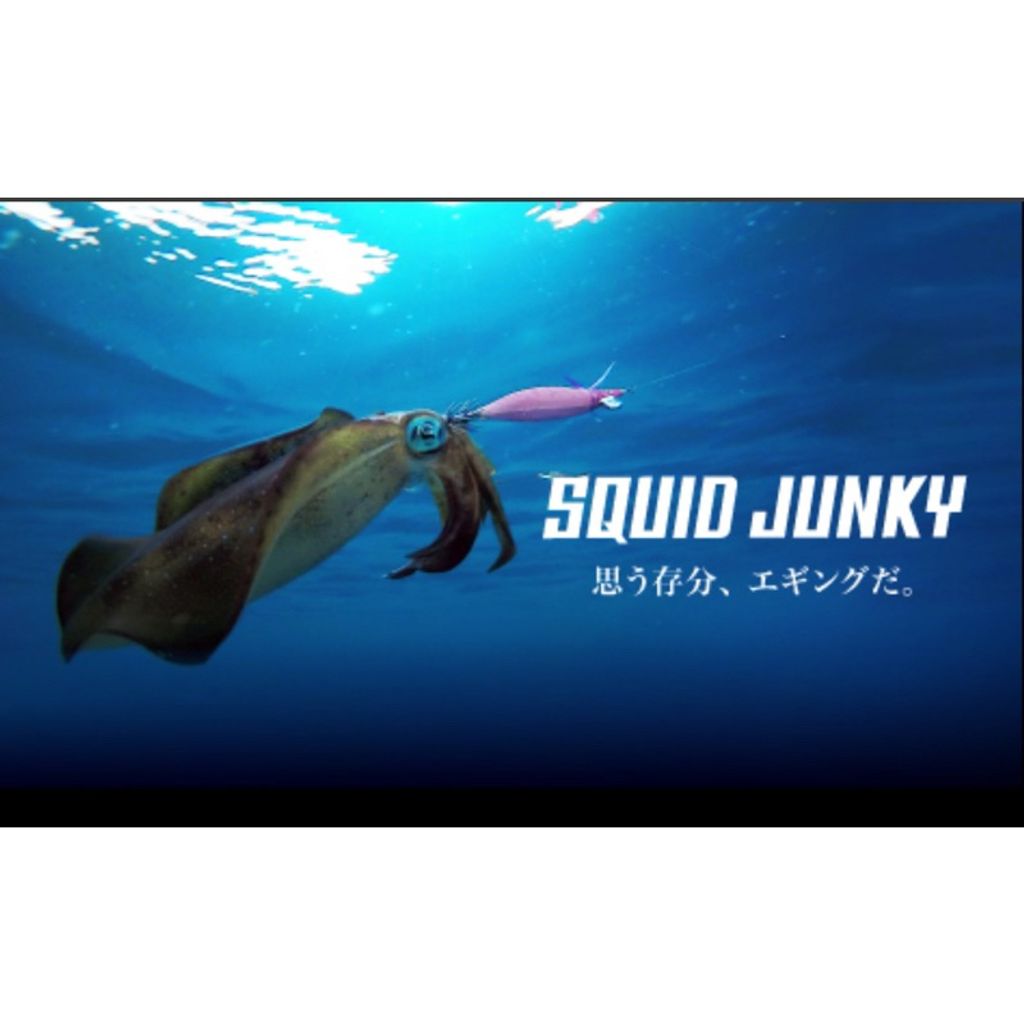 tw-11134207-7rasi-m499ol16poe82b