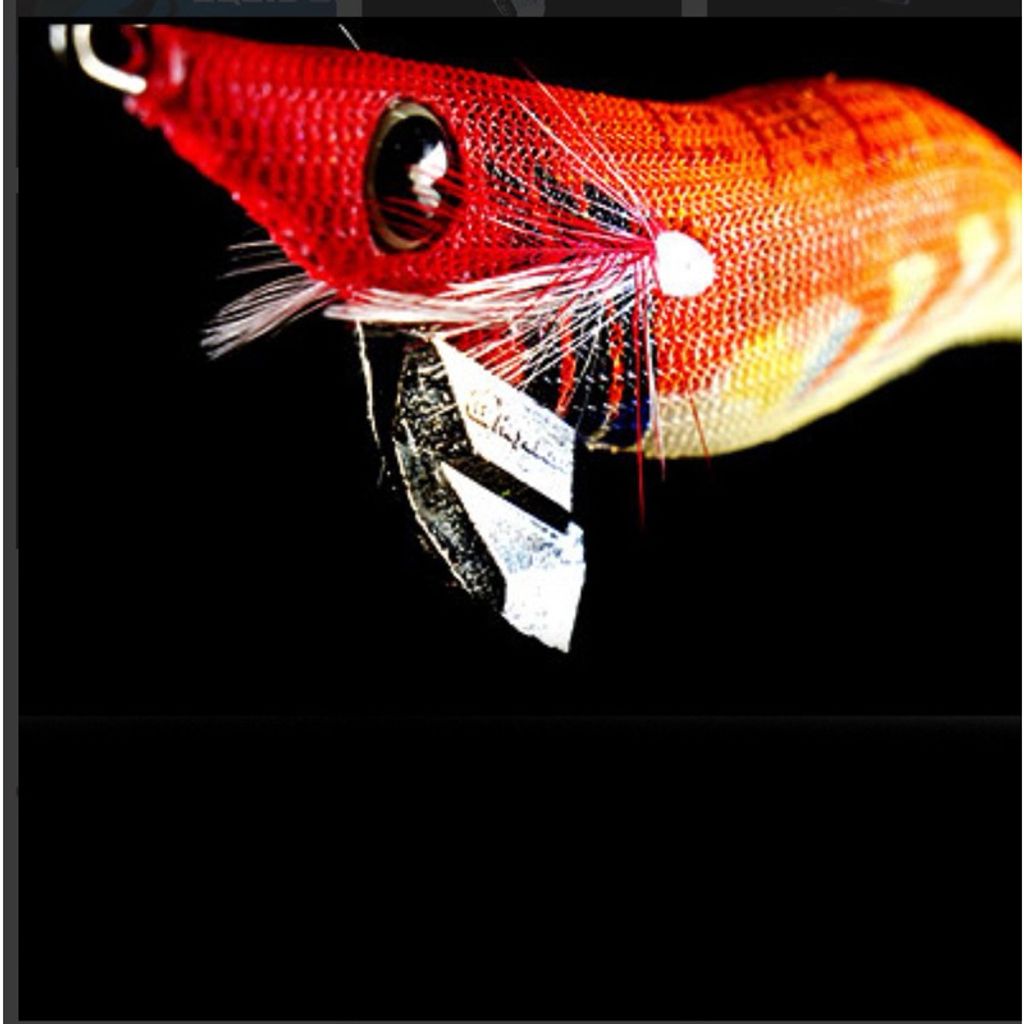 tw-11134207-7ras8-m499ol15urwg98