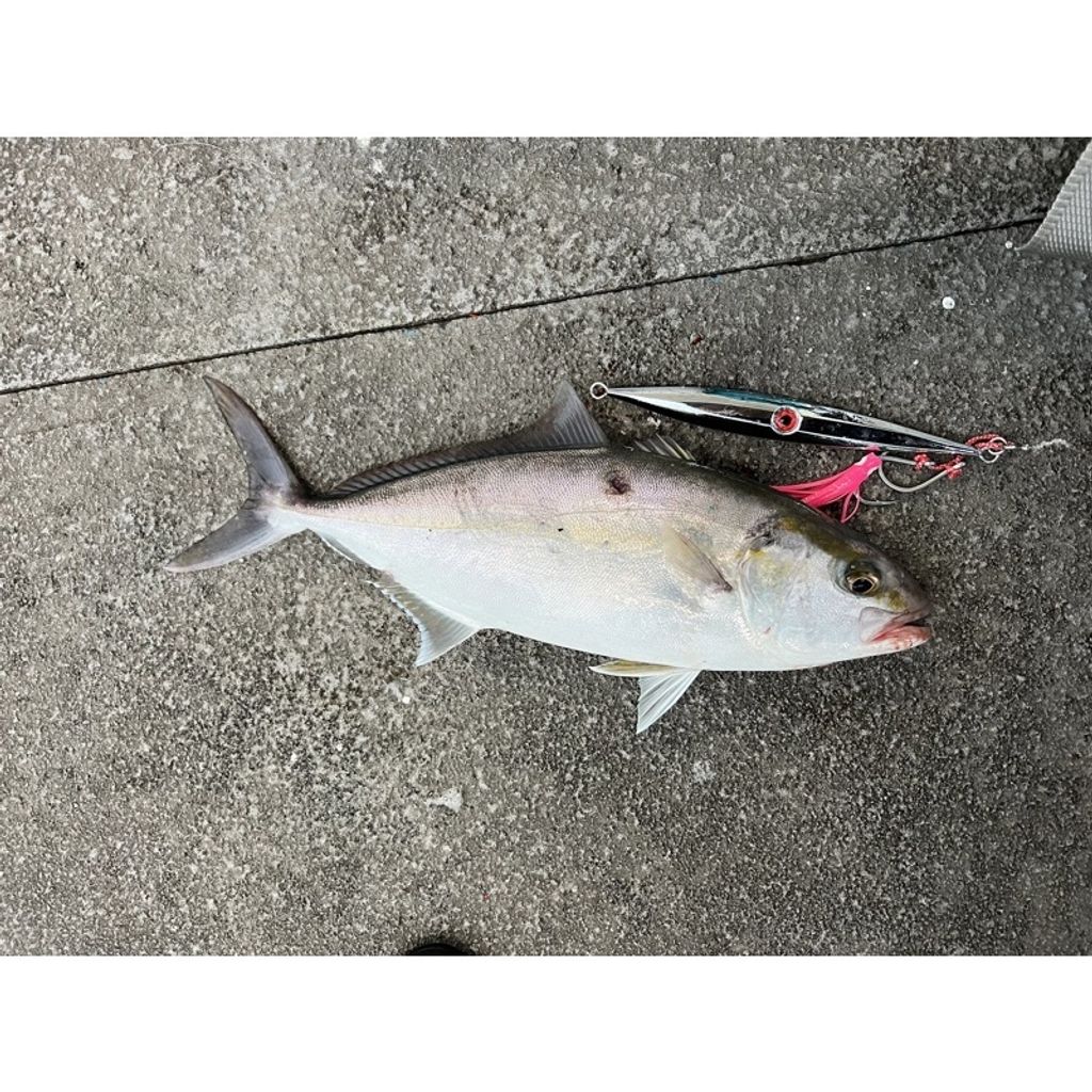 20fbfb7def56ce86db922869a5822eae