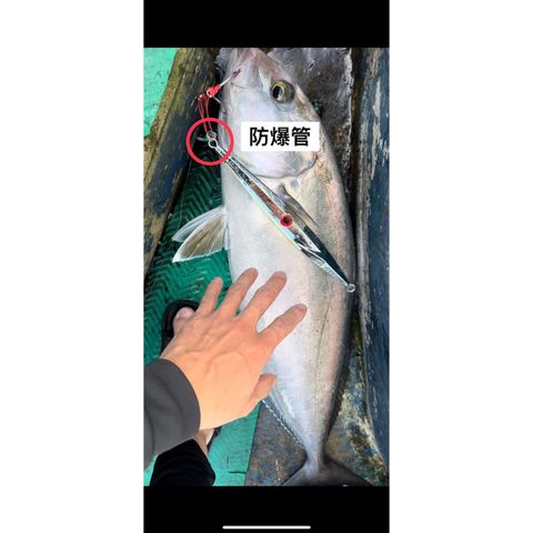 tw-11134207-7r98p-ltj5bid1mq9be3