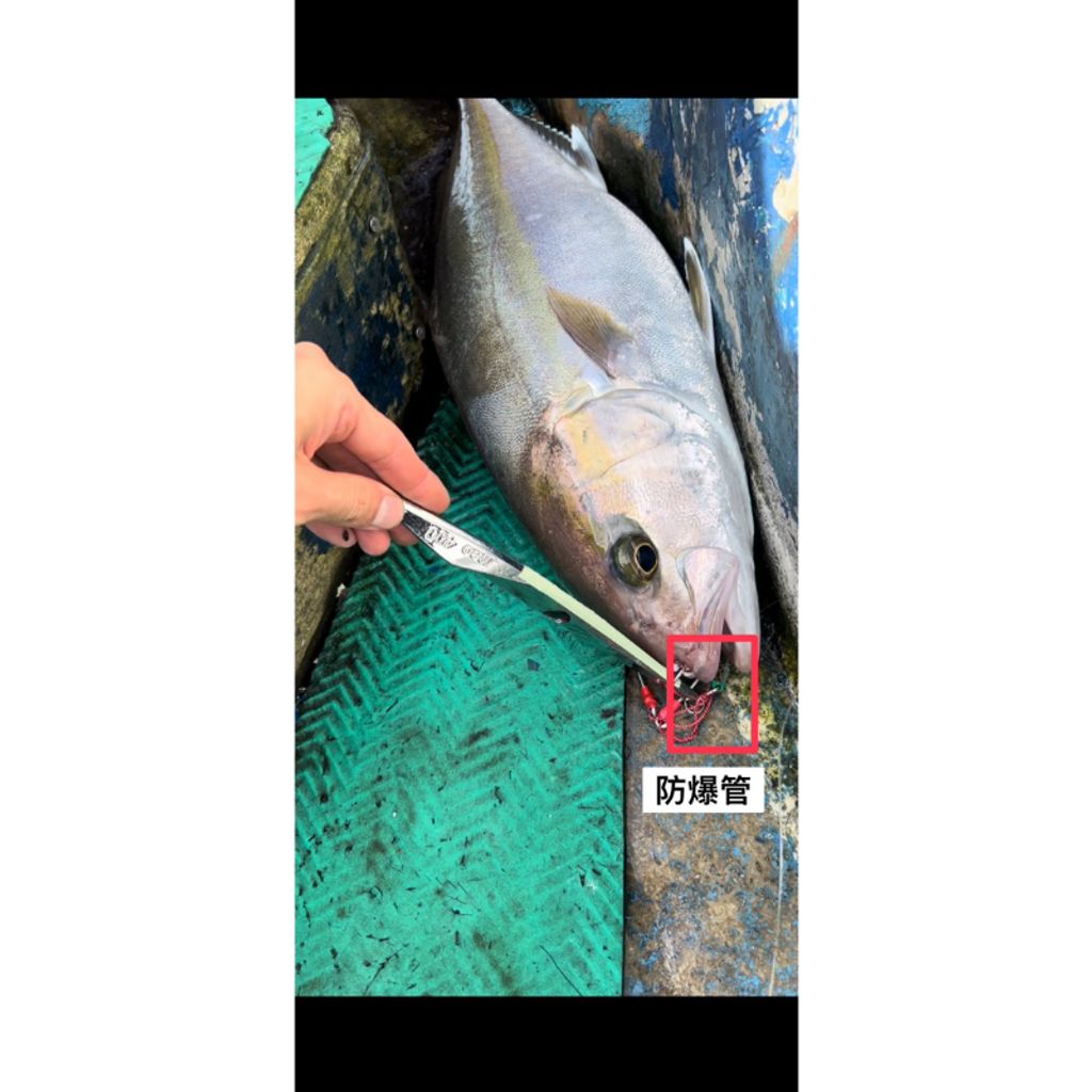 tw-11134207-7r98s-ltj5hws4ehej6e