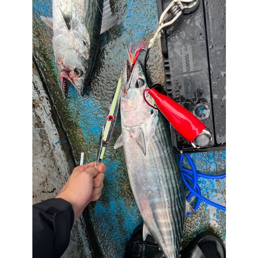 tw-11134207-7qul4-lh3sytxukmy405