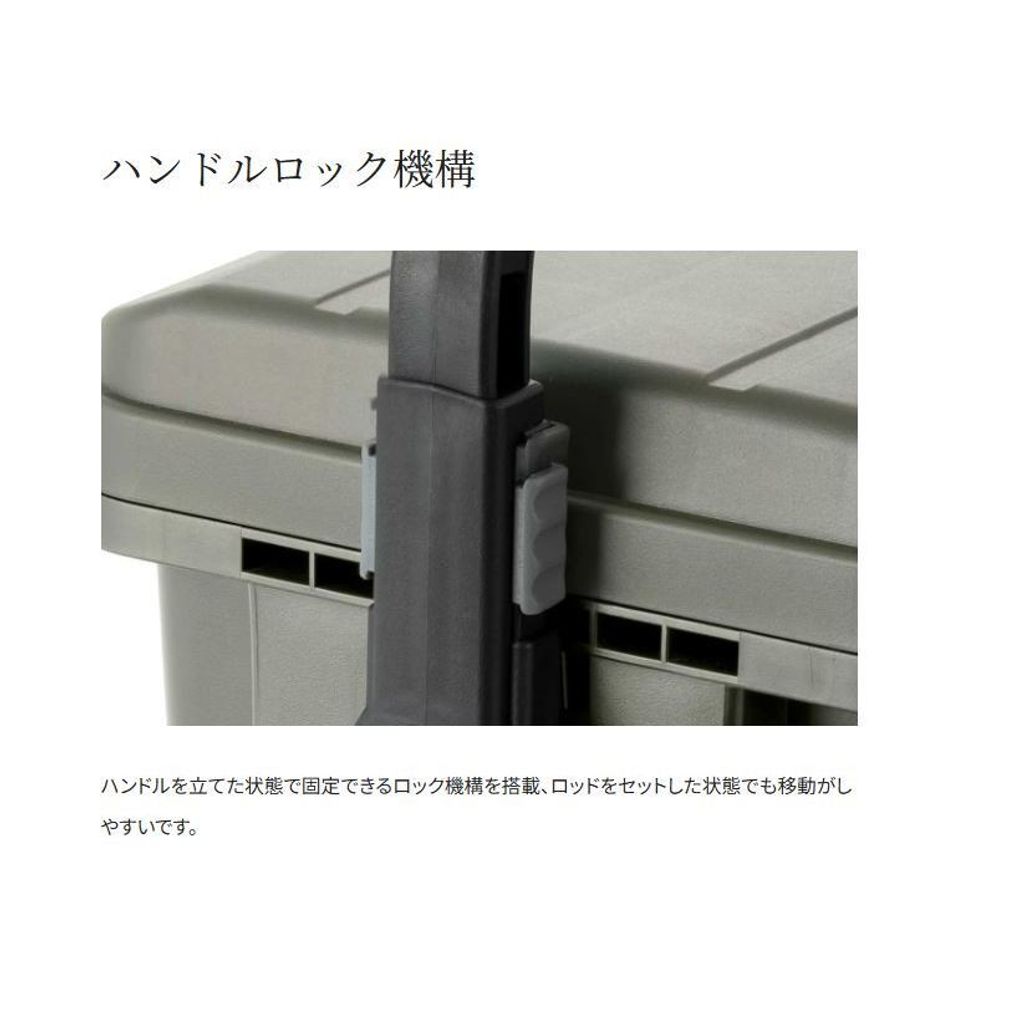 tw-11134207-81ztm-meollfol1q8562