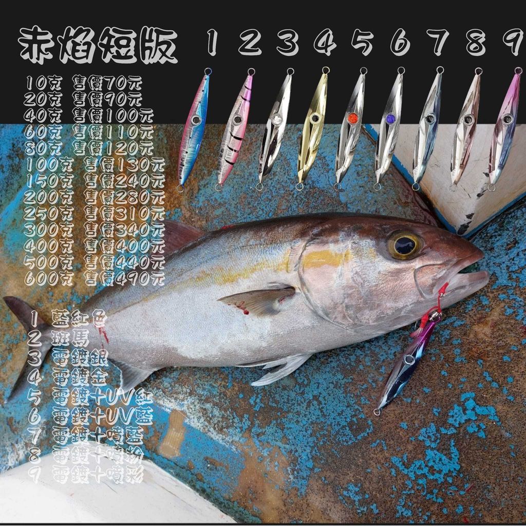 494044247_2401299866910813_359832353961686805_n