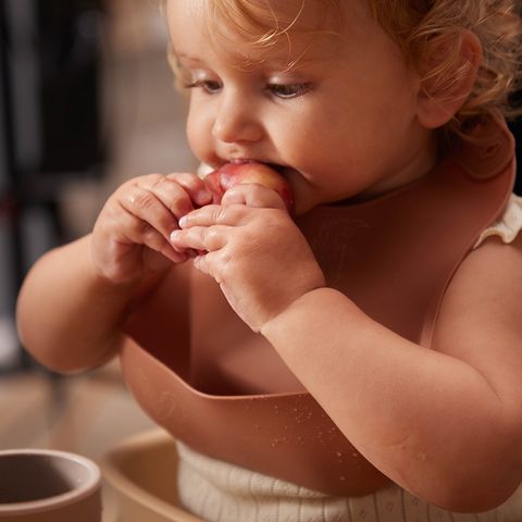 tw-11134207-7ras8-m5z47i8t5cjx7f