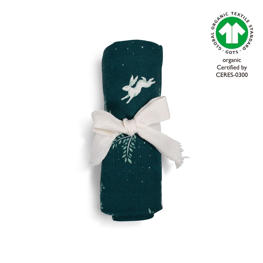 tw-11134207-7rase-m5z3wdb3r2c64a