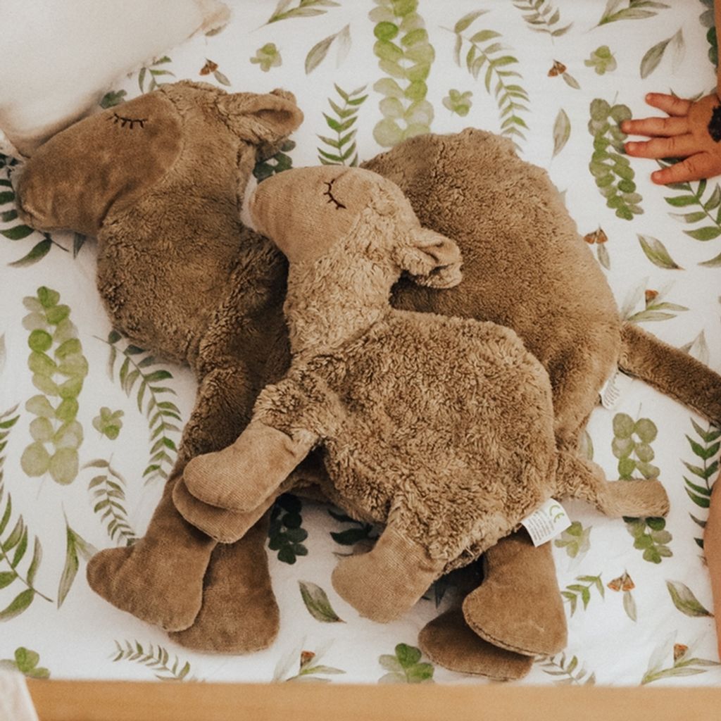 tw-11134207-81ztg-micr8m5k16o3ba