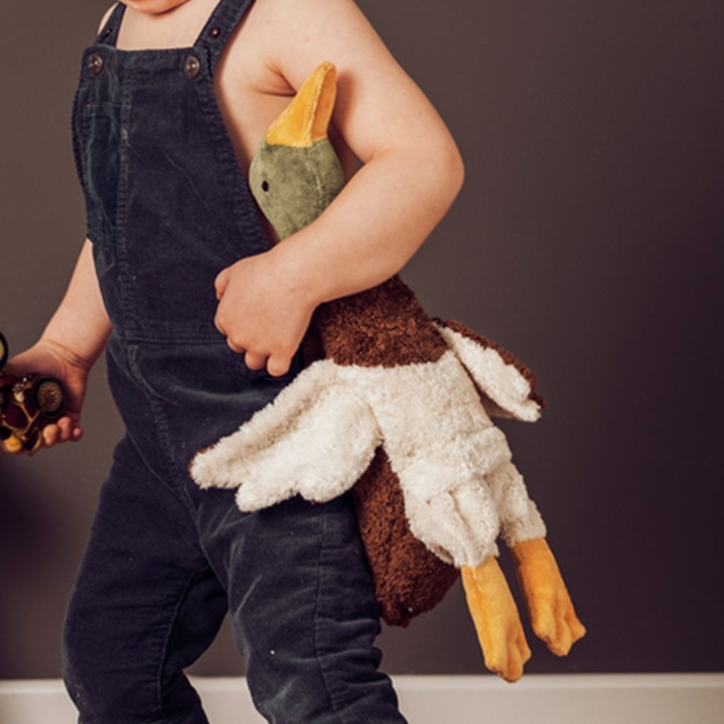 tw-11134207-81ztf-micrajabi8sg81