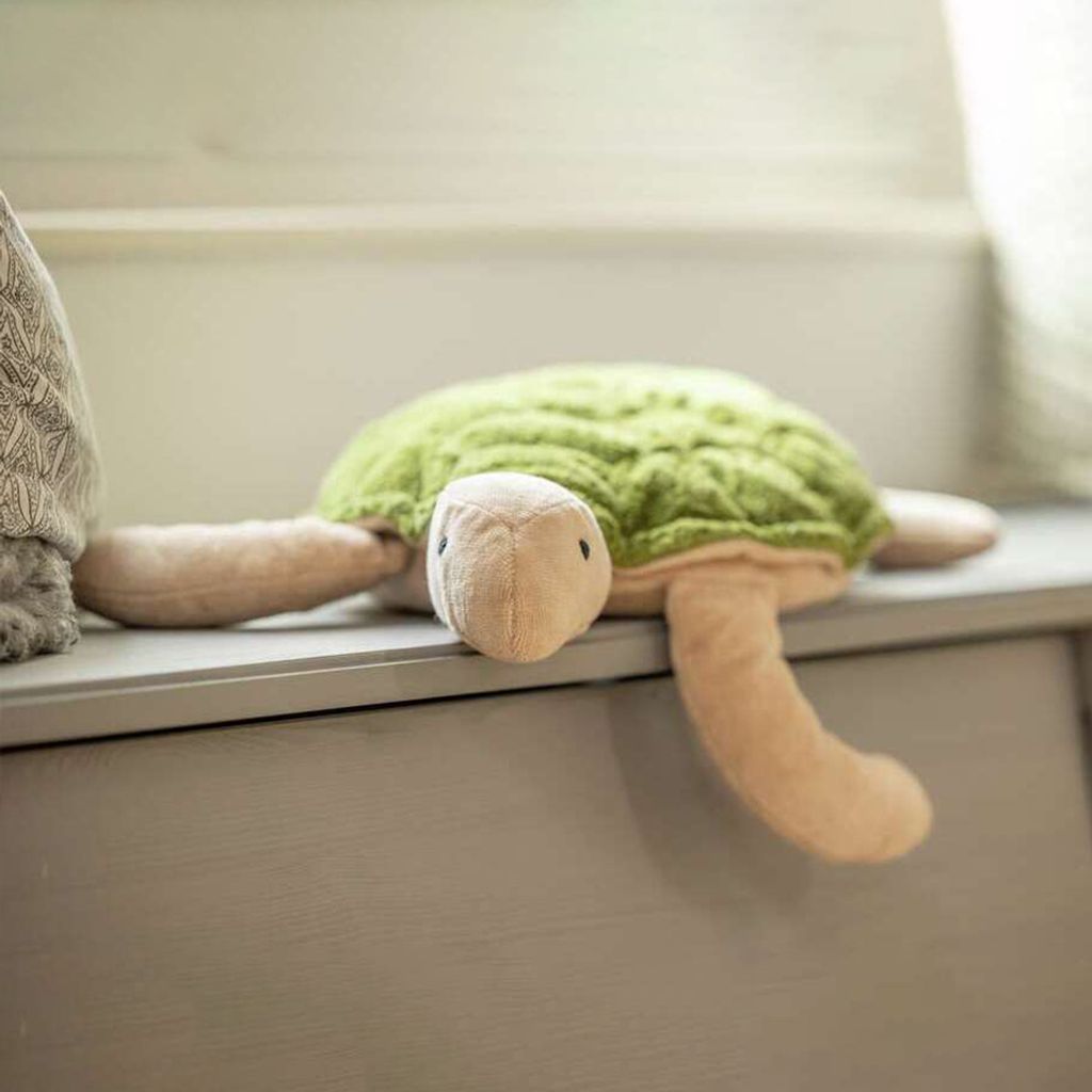 tw-11134207-81zte-micrbztrn85de3