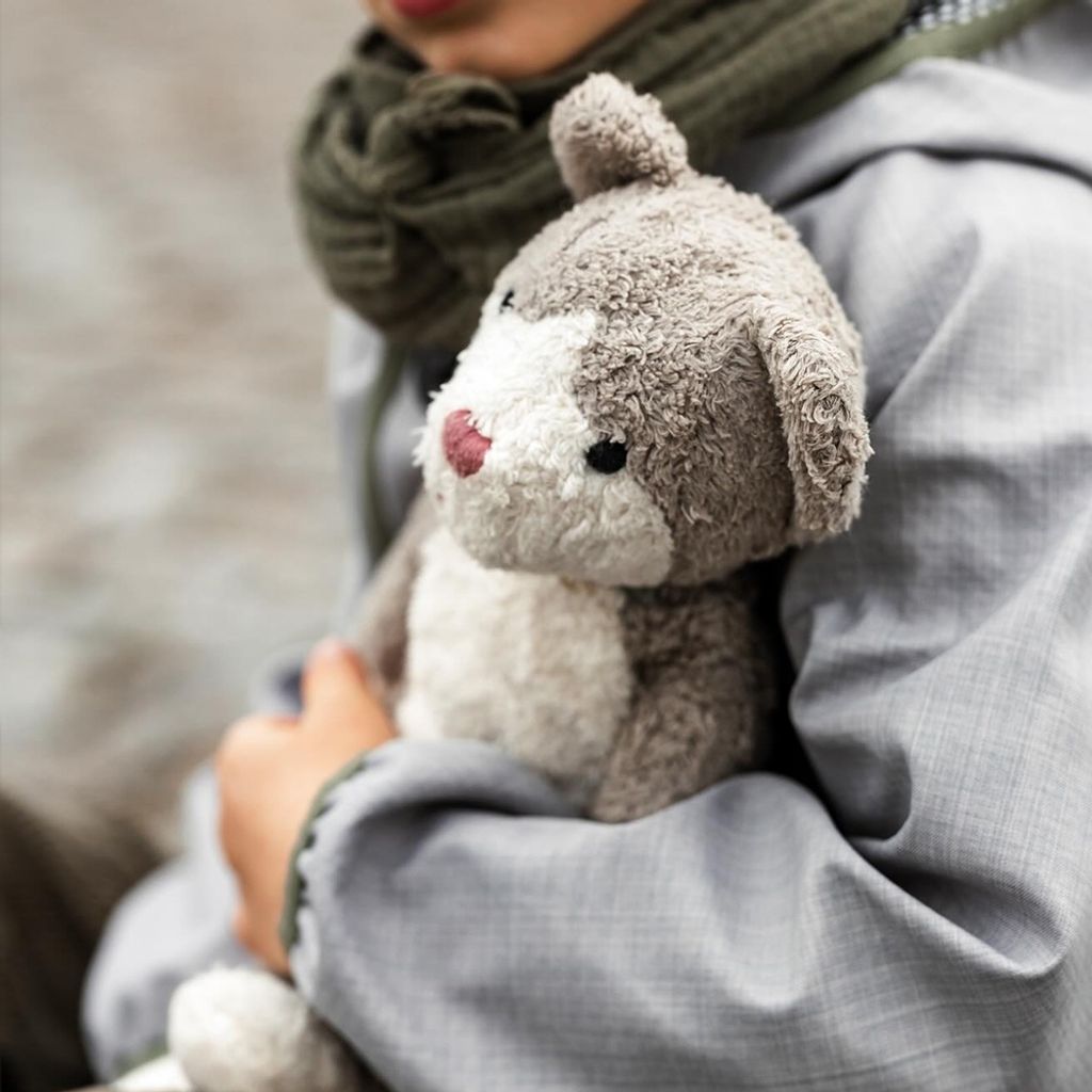 tw-11134207-81zth-micrdt8g2i2qc5