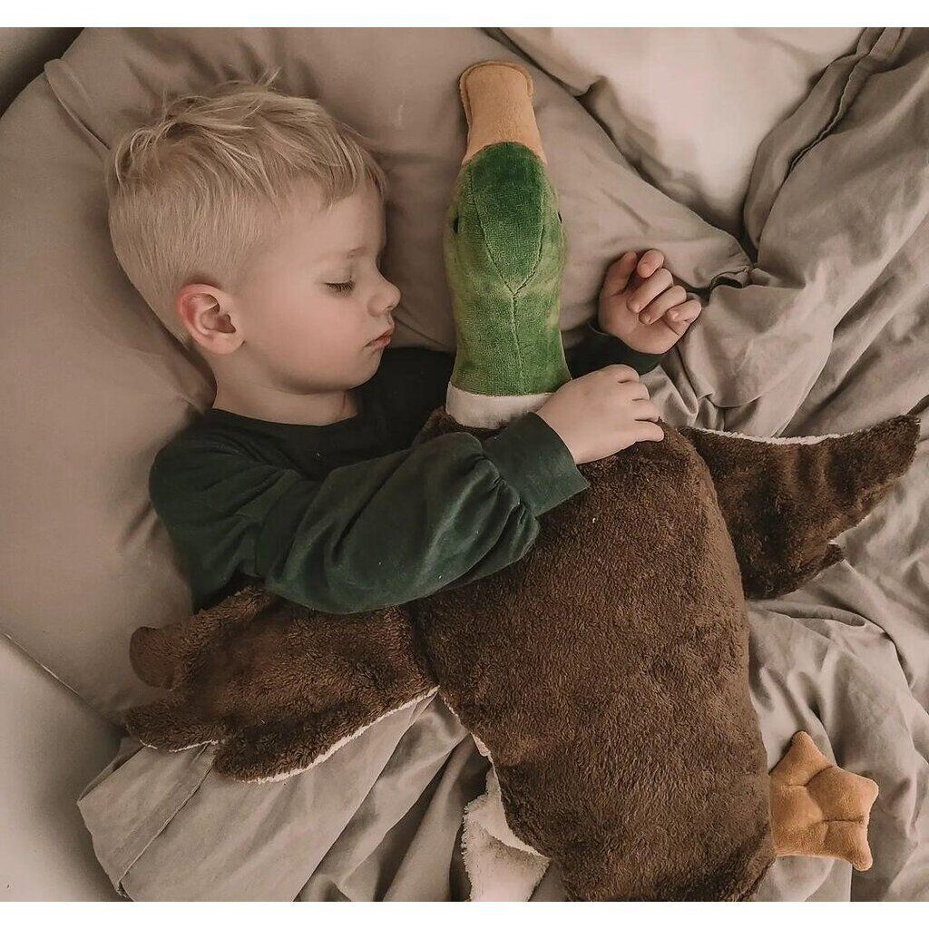 tw-11134207-81ztn-mib1punj5xj587