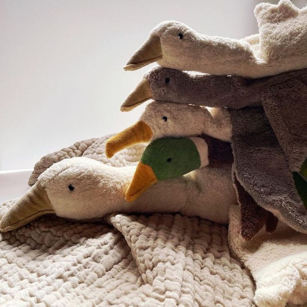 tw-11134207-81ztm-micr504fdqte44