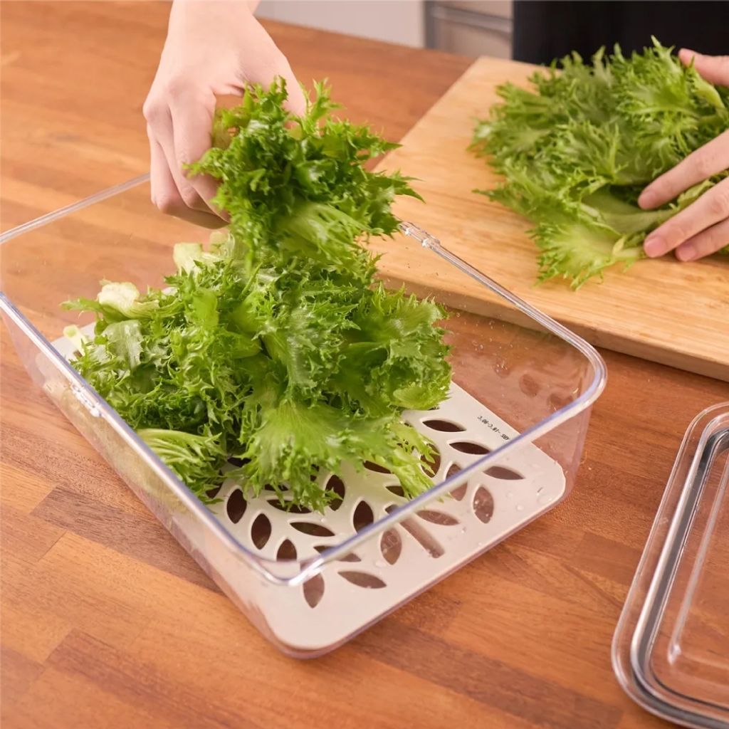 tw-11134207-81zti-mimtcqttn9c374