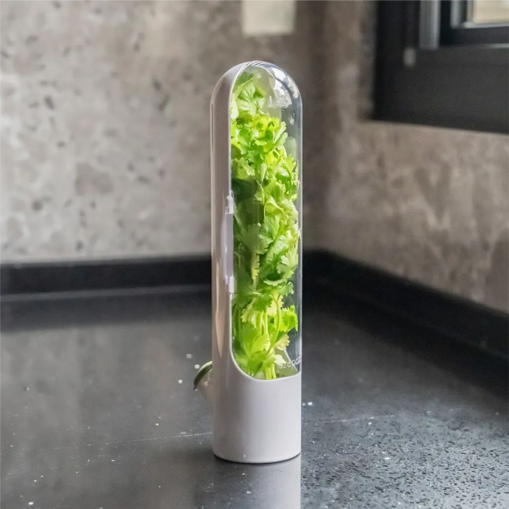 tw-11134207-81ztj-mipdrjgau8e82f