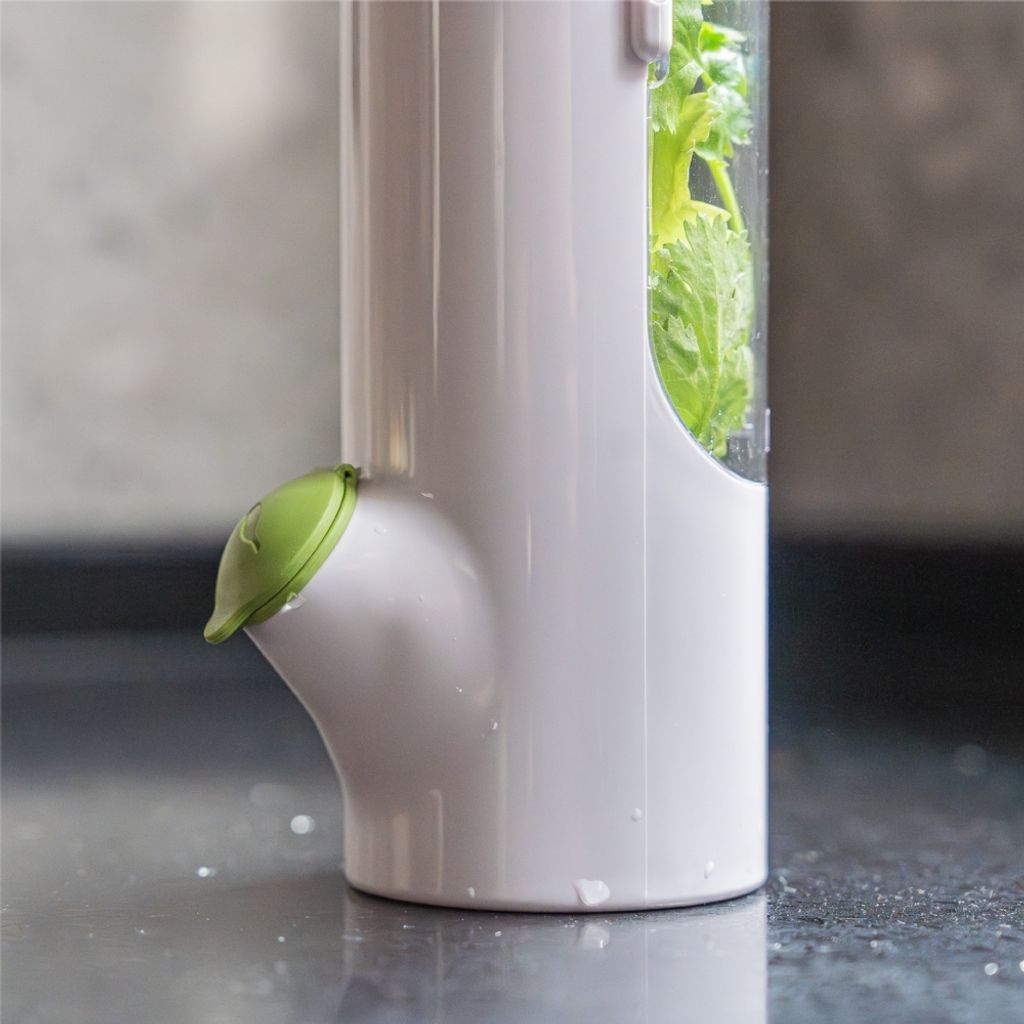 tw-11134207-81ztc-mipdrjga4y6ad9