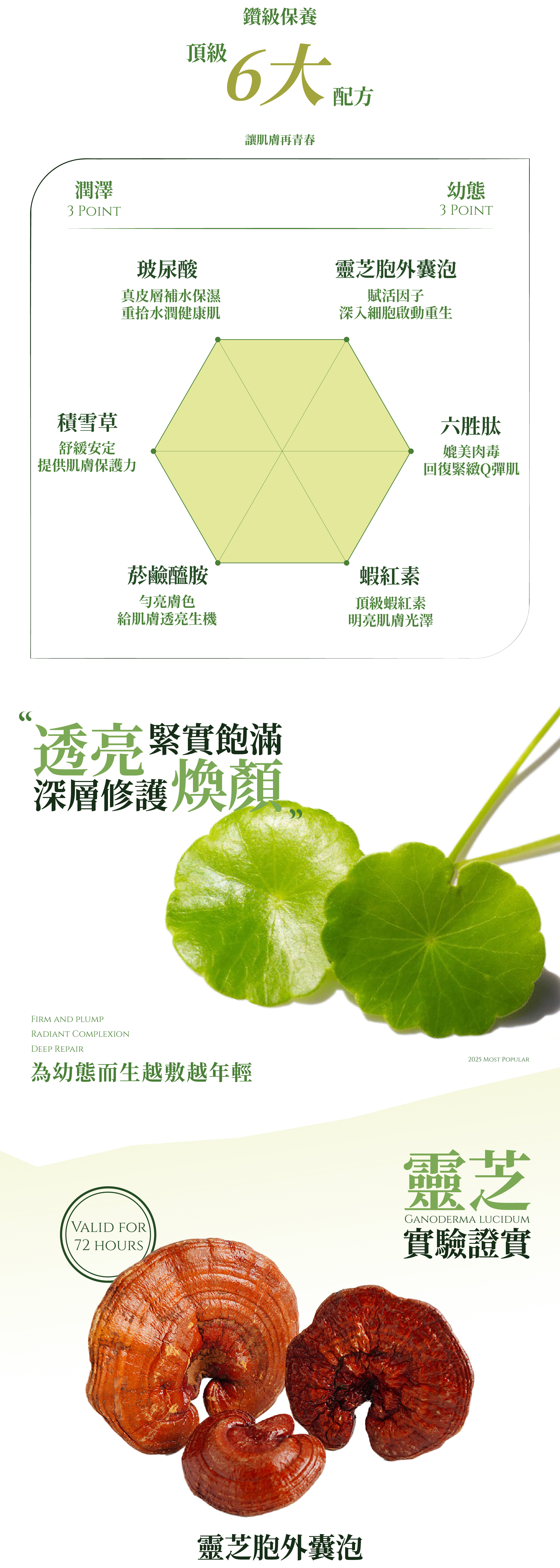 面膜一頁式-09-02