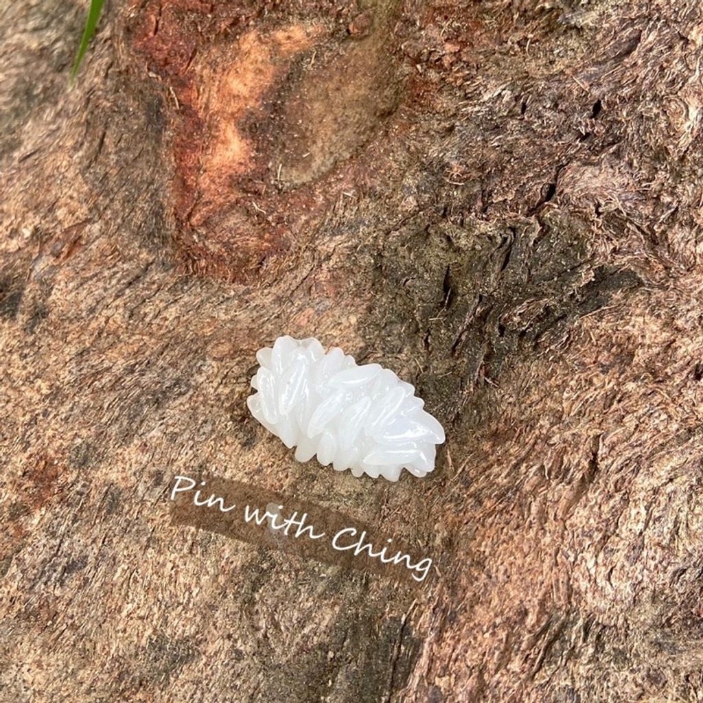 b1f881bff3c36b053aa9d7183fdcbce9