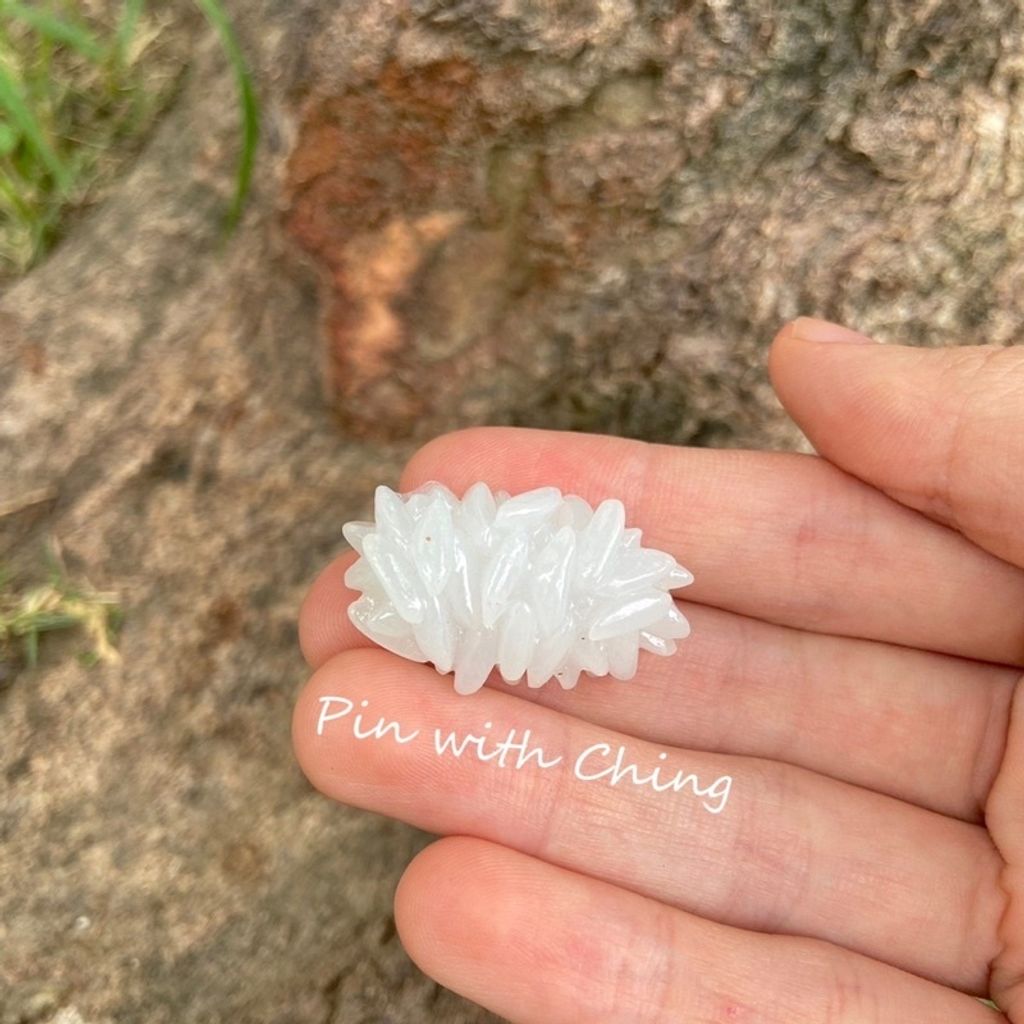 b0a5c0050141452b9b0997b524f0b428