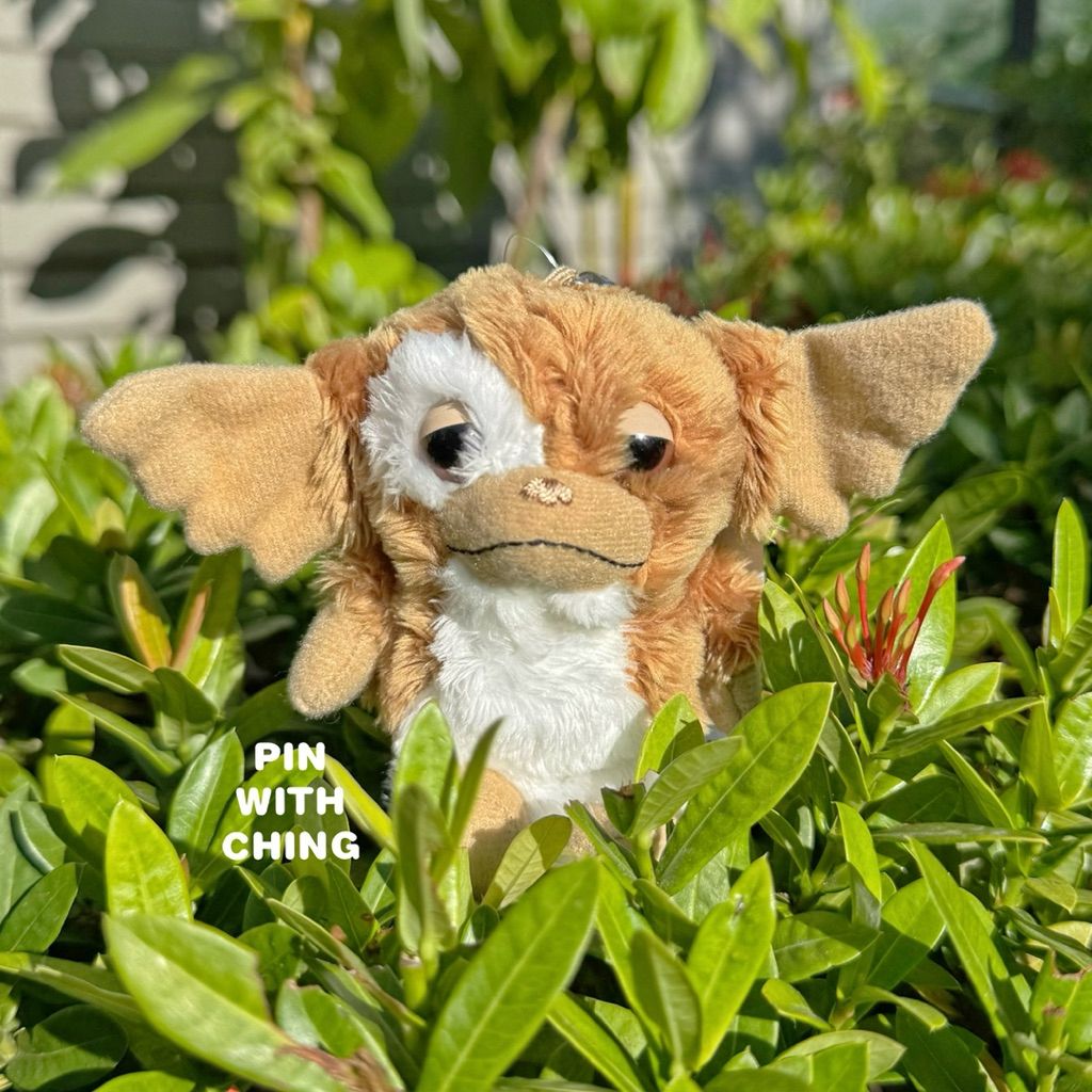 tw-11134207-81ztn-mgiigdlhwetlb5