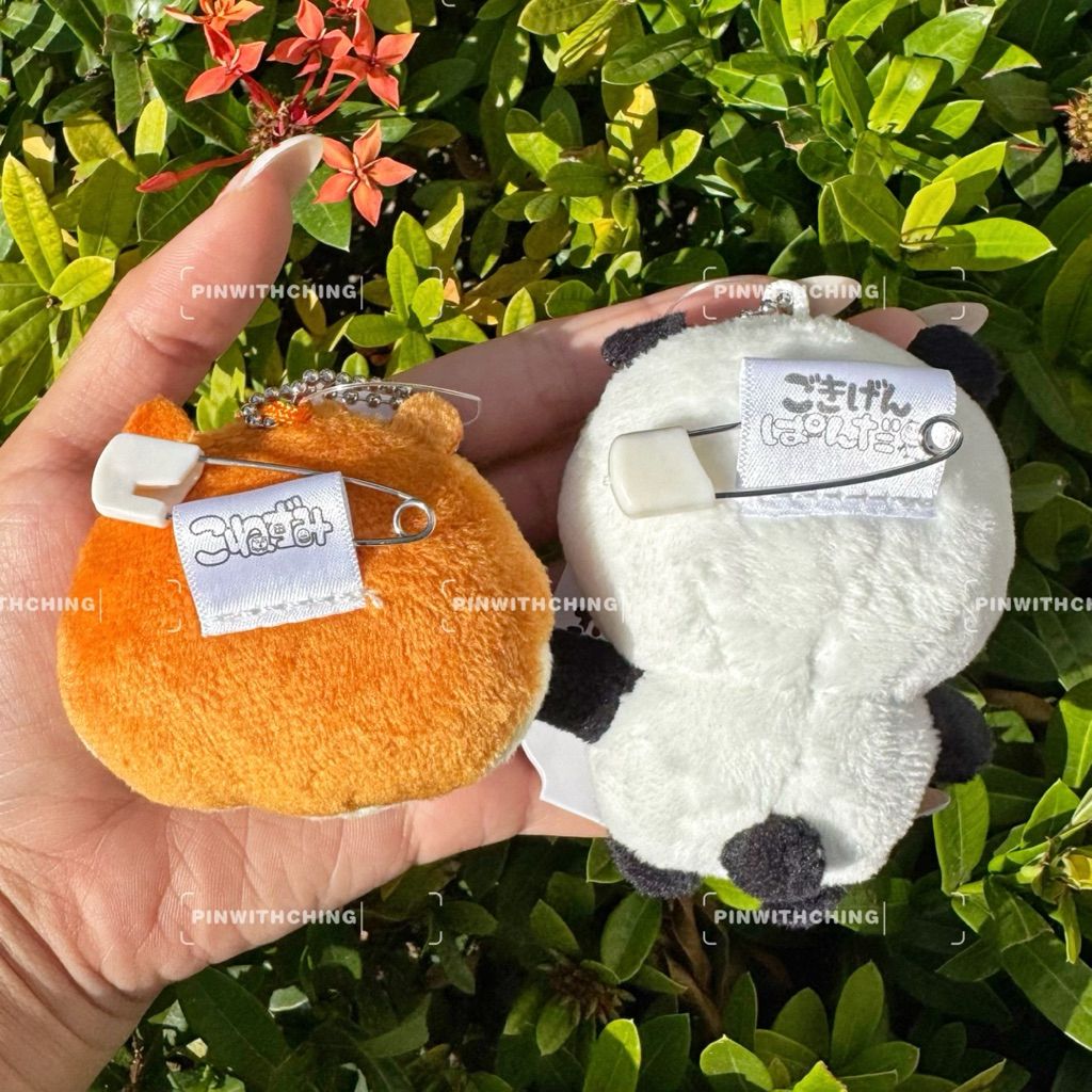 tw-11134207-81ztm-mgpckexeo6byc2