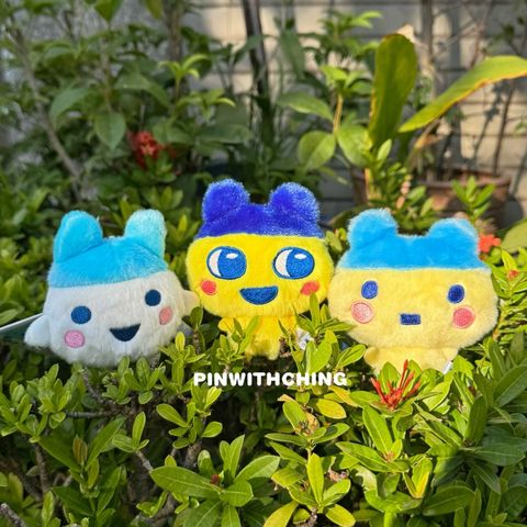 tw-11134207-81zto-mgqxpbkxdc7g19