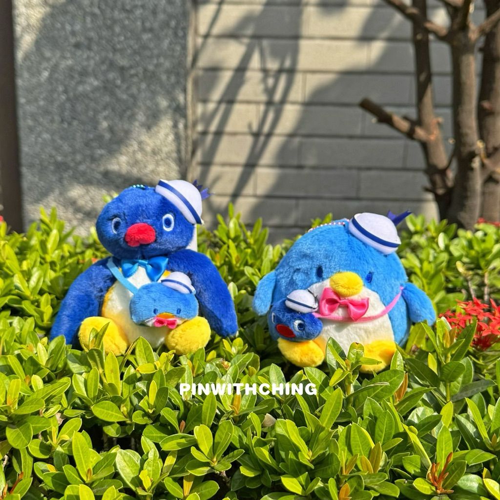 tw-11134207-81ztn-miq2wqoic8hsdb