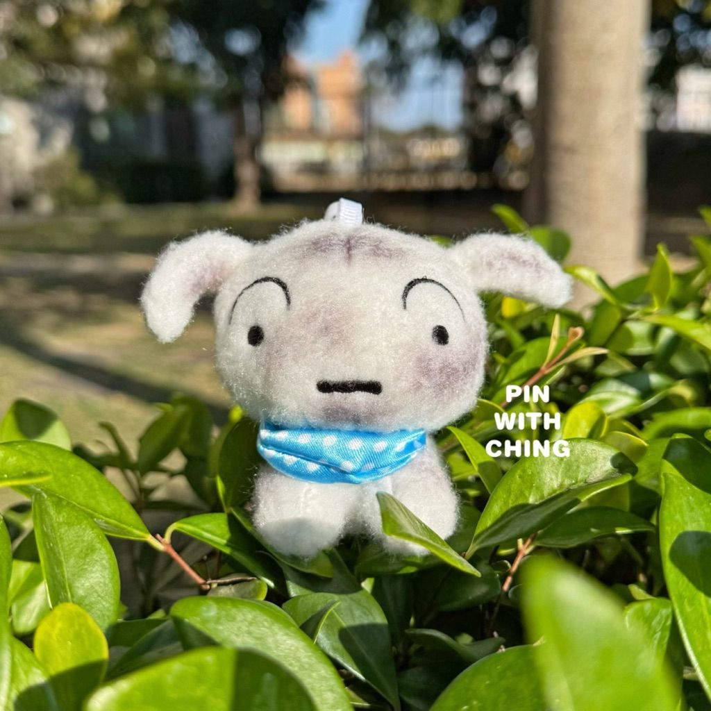 tw-11134207-81ztf-mjv917ig82rm01