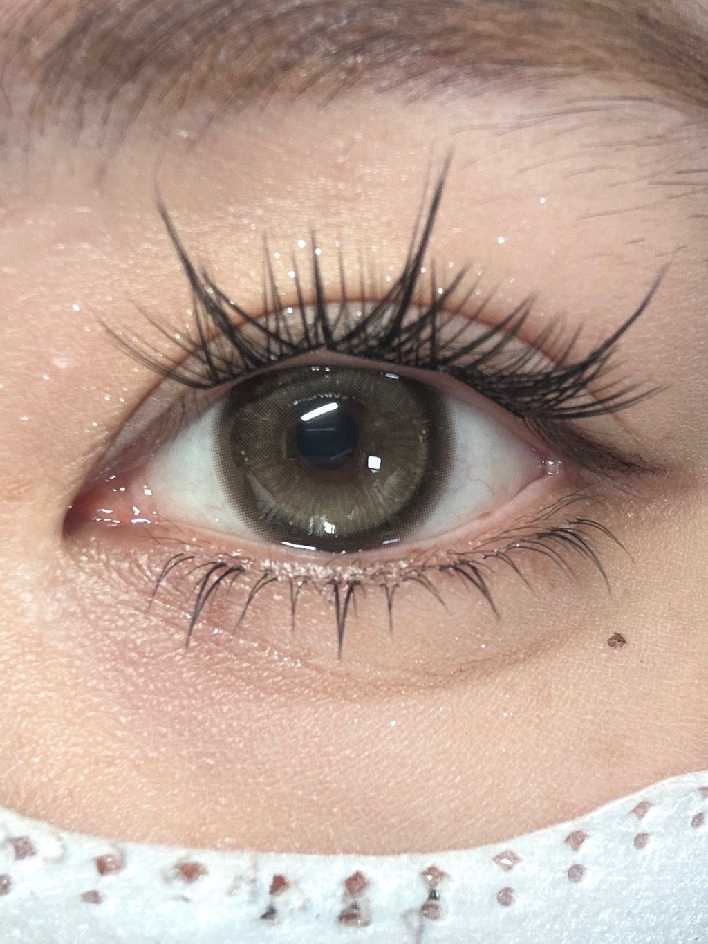 i1768783953513_5782_0_7