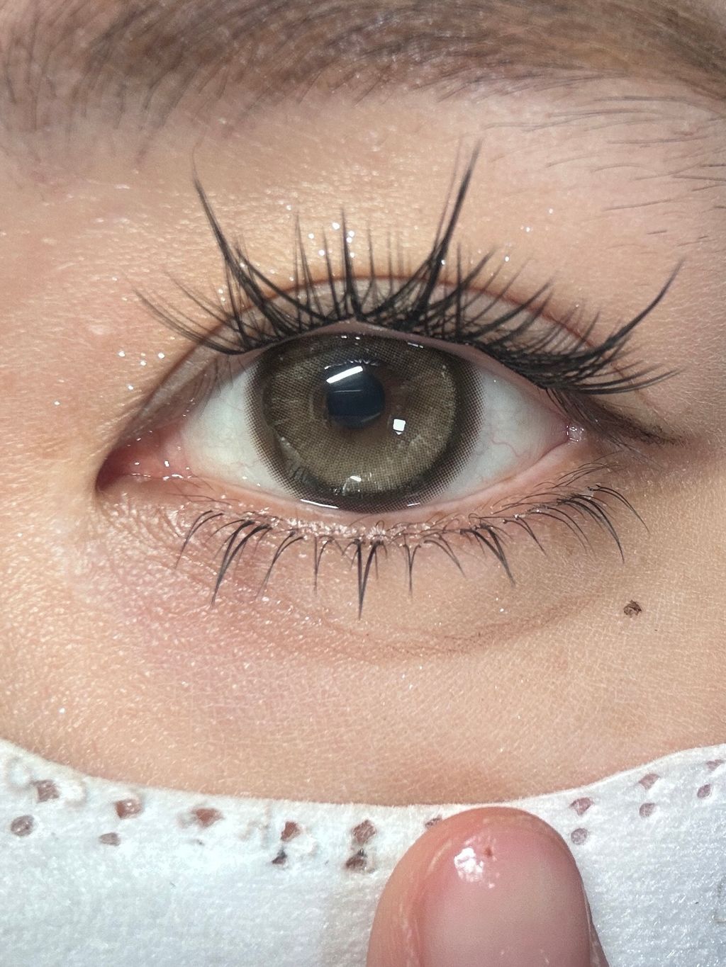 i1768783953561_1327_0_4