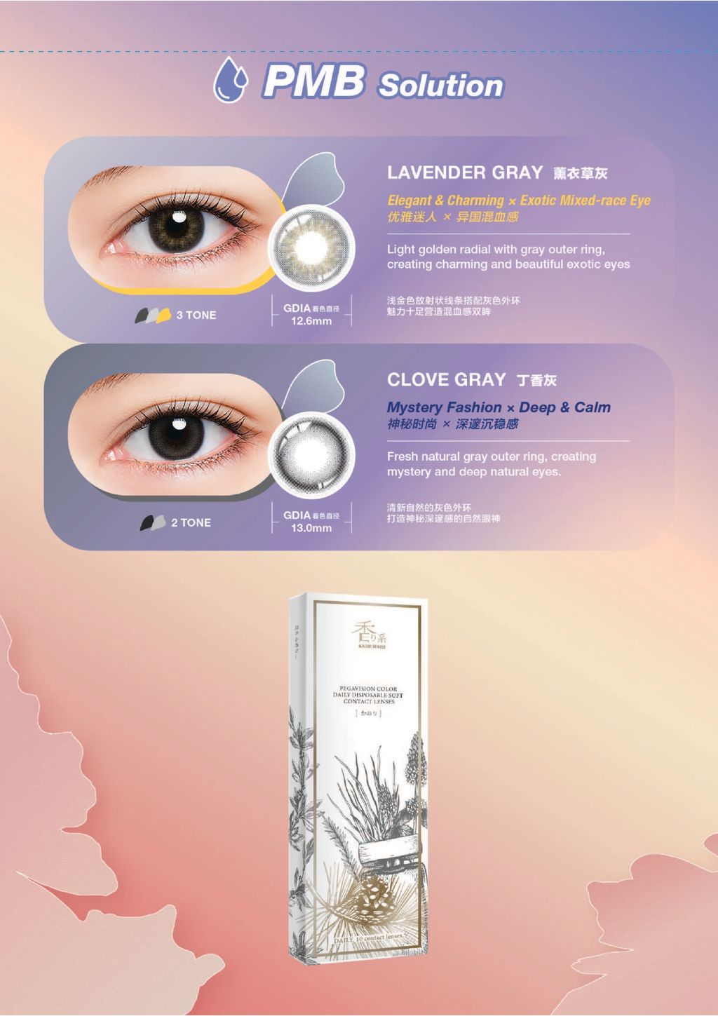 pegavision-3