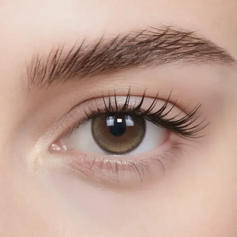 Soft-Brown-6_1445x