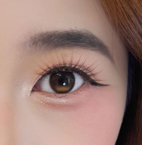 close up highlited brown