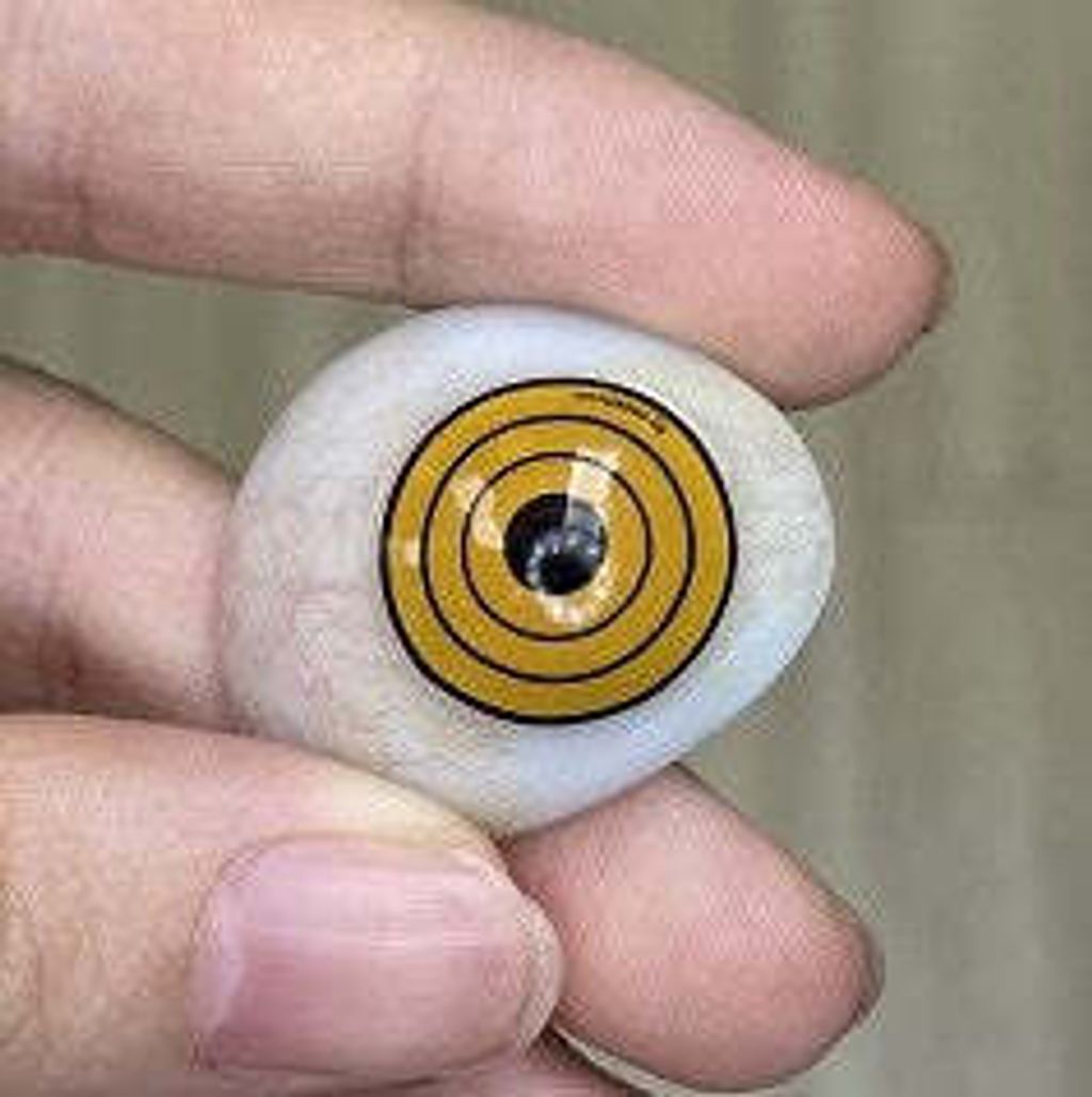 WhatsAppImage2021-03-29at4.34.39PM_3ede466c-474e-48d5-8e3f-f693650ebba9