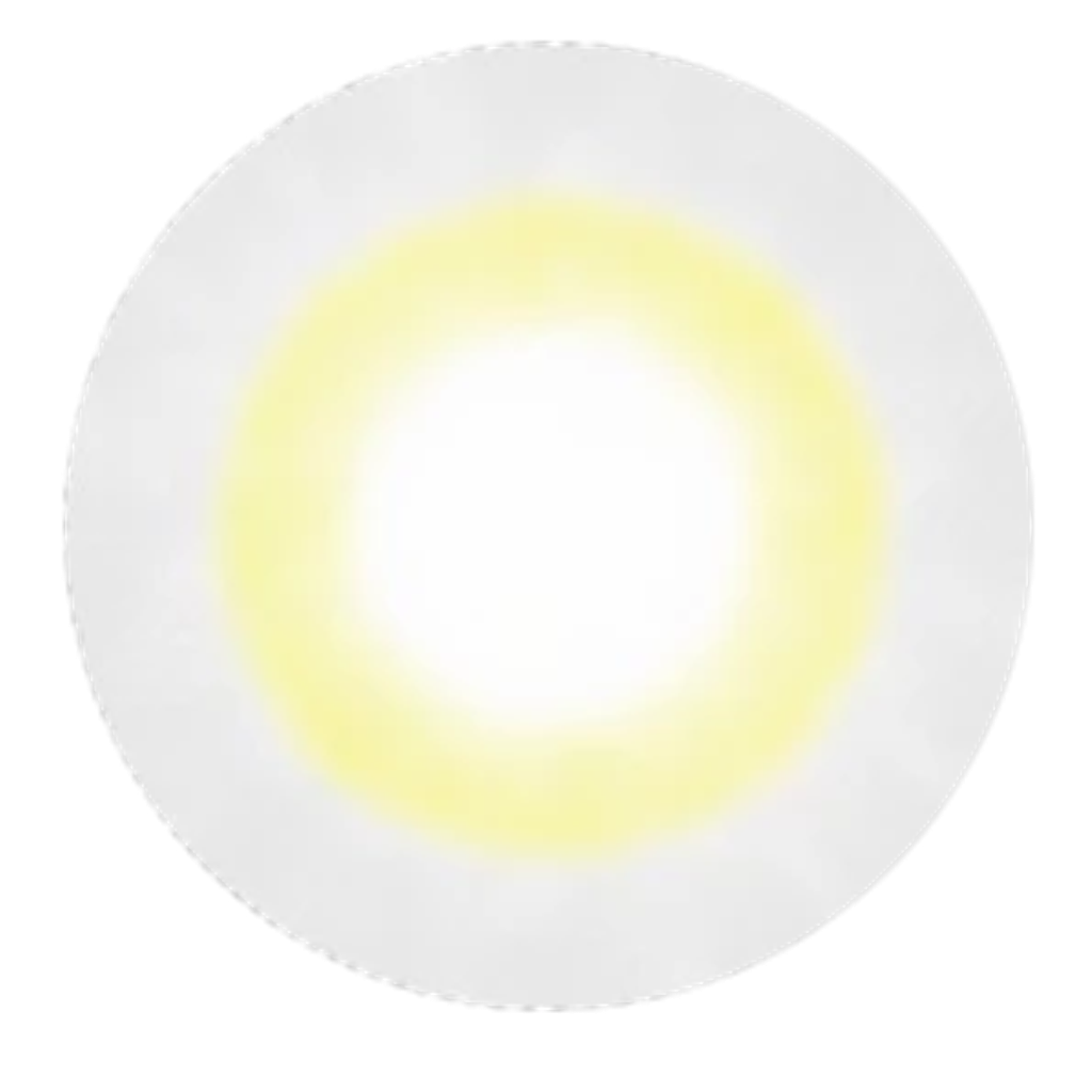 Angel_Gray_Lens_6cfef33a-e79f-4798-b654-a4f5d012715a