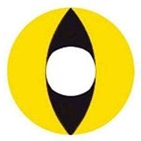 F24-F05-3-2_cat_eyes